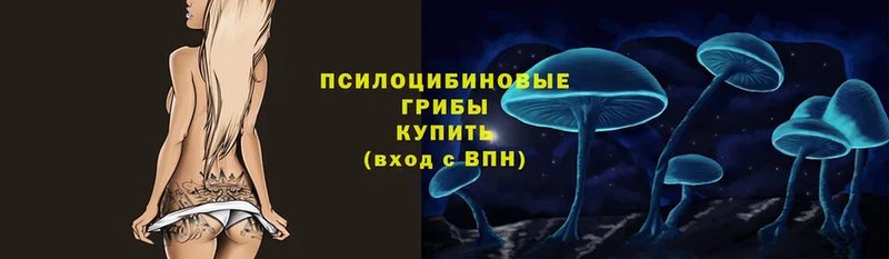 Псилоцибиновые грибы Magic Shrooms  Белореченск 